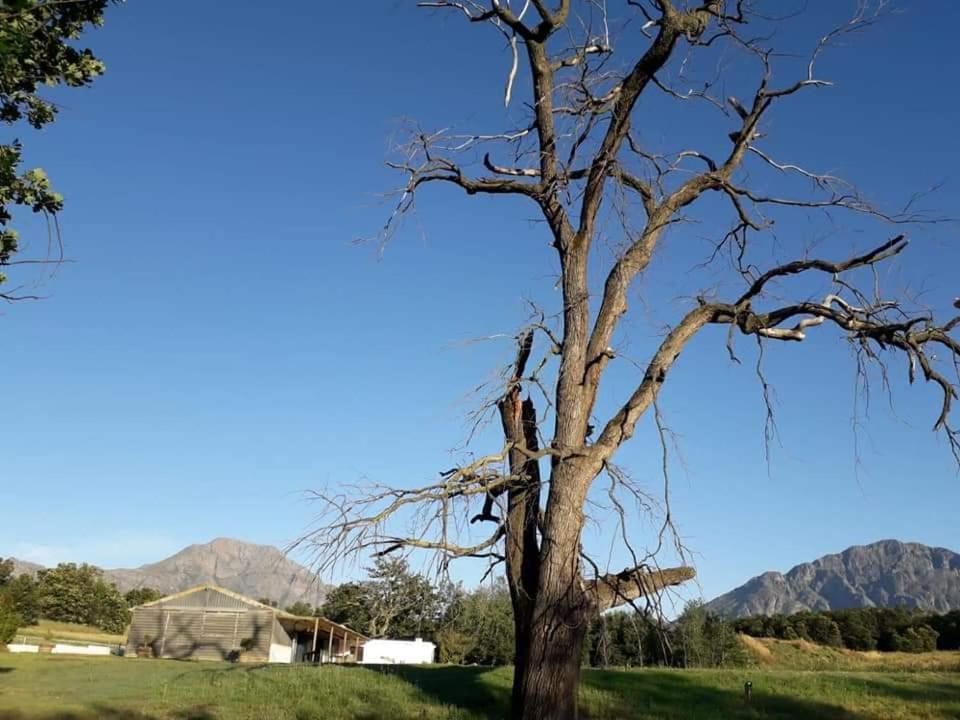 Klipfontein Rustic Farm&Camping Tulbagh Exterior foto