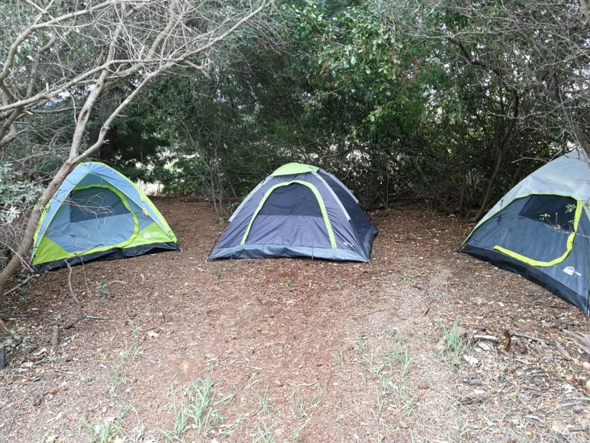 Klipfontein Rustic Farm&Camping Tulbagh Exterior foto