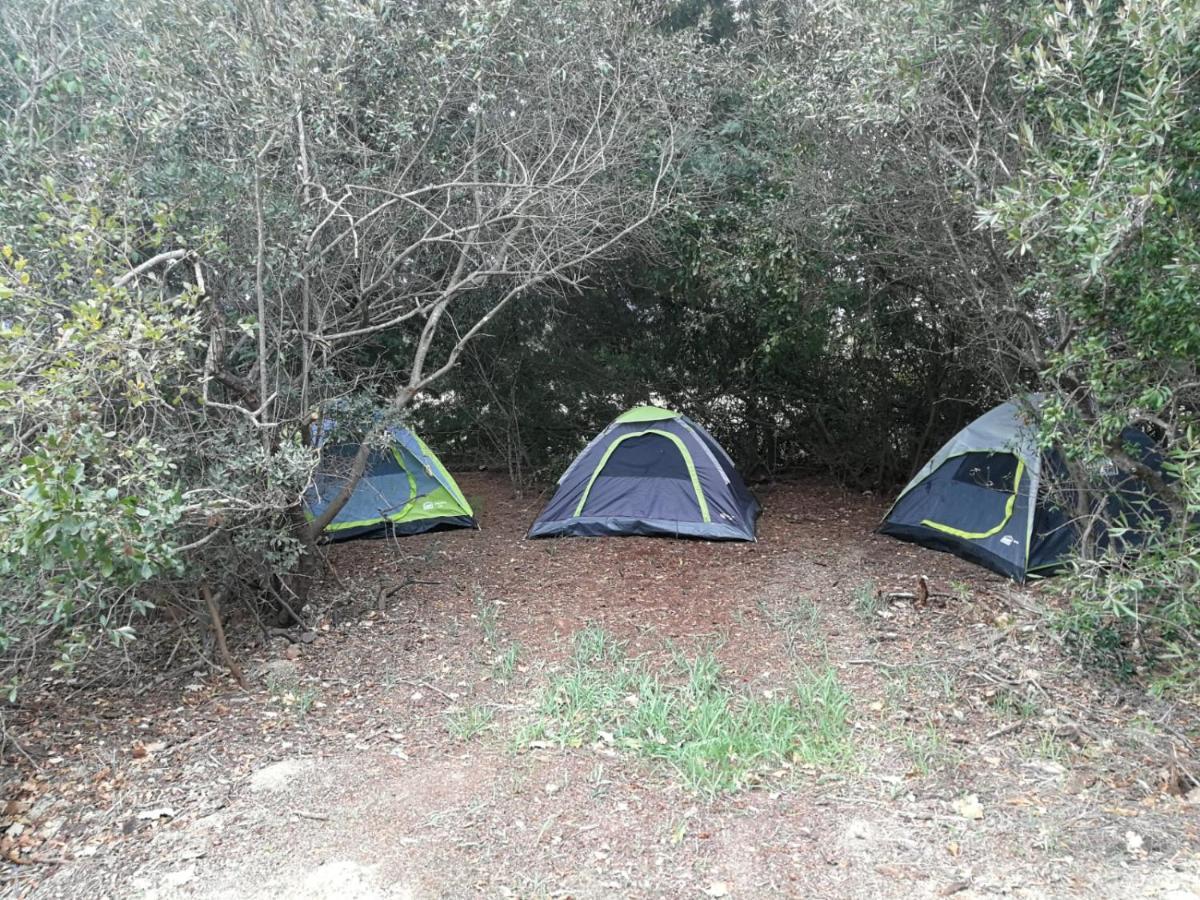 Klipfontein Rustic Farm&Camping Tulbagh Exterior foto