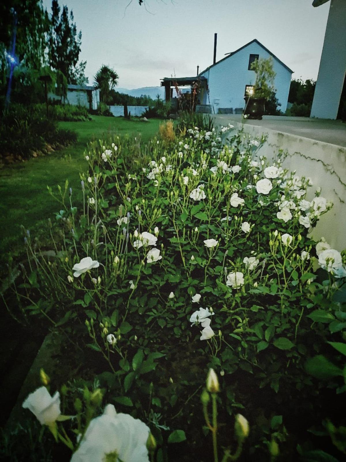 Klipfontein Rustic Farm&Camping Tulbagh Exterior foto
